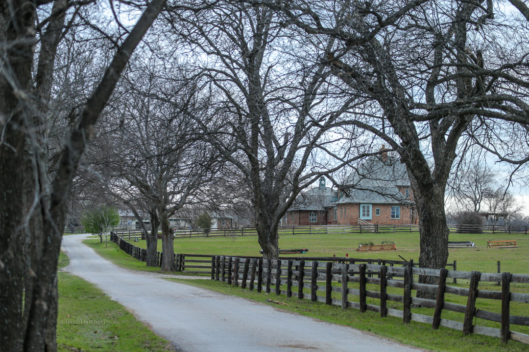 What We Offer Quail Run Farm