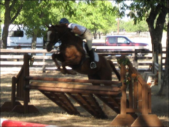 Erin Roof and her old buddy, Smooth Operater. Dressage score of 37.4!