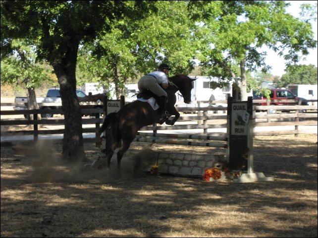 Meg Johnson and 22 y/o Impressive Big Joak. 5th in Training CT